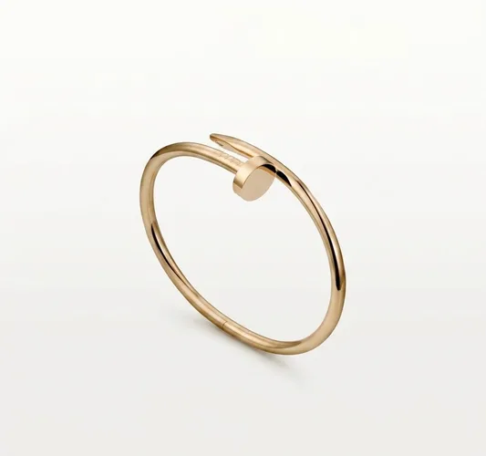 Nail Bracelet (in silver & gold)