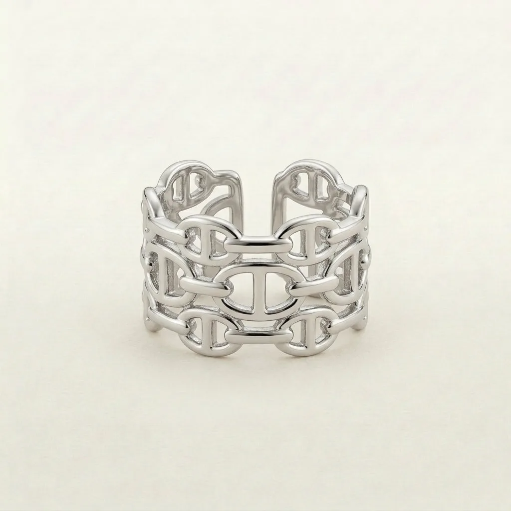 Classy Multi Layering Ring (silver & gold)